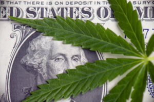 Detail of cannabis leaf over american dollar bill