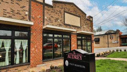 Webster Groves Professional Office